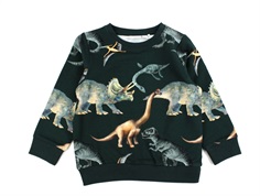 Name It pine grove dino sweatshirt